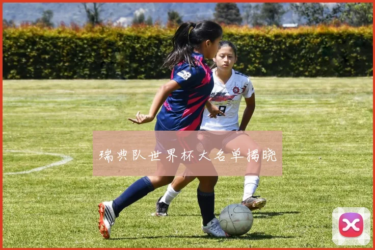 瑞典队世界杯大名单揭晓
